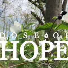 DOSE OF HOPE | Reconciliation and Action